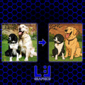 Pet Memorial Glass Coaster - cartoonise your pet!