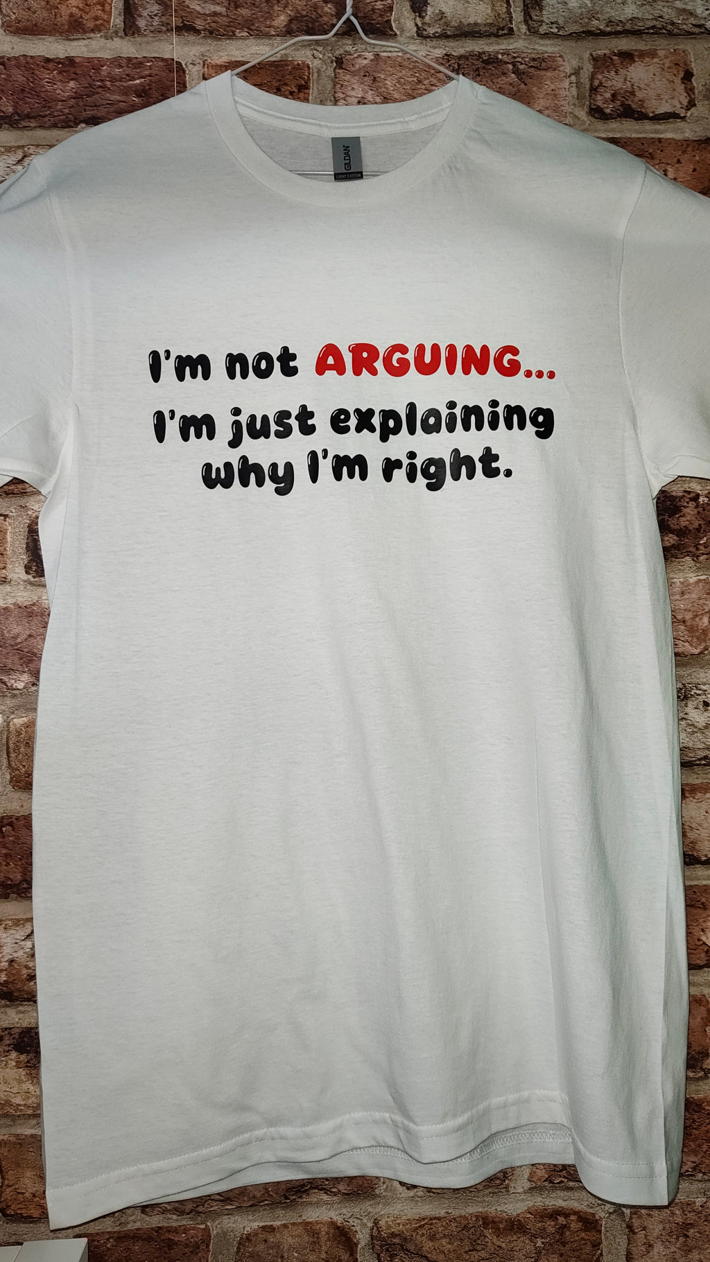 I'm Not Arguing... Novelty T-Shirt